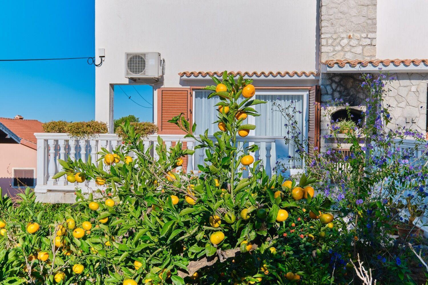 Apartment Luce Mali Losinj Bagian luar foto